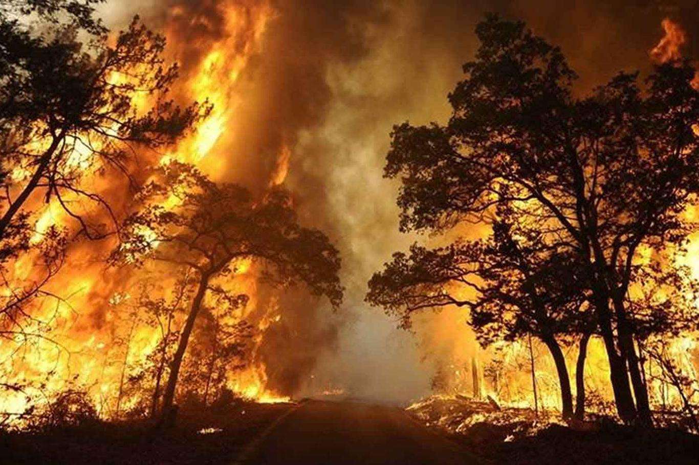 استمرار حرائق الغابات في ولايات كاليفورنيا وأوريغون وواشنطن بالولايات المتحدة